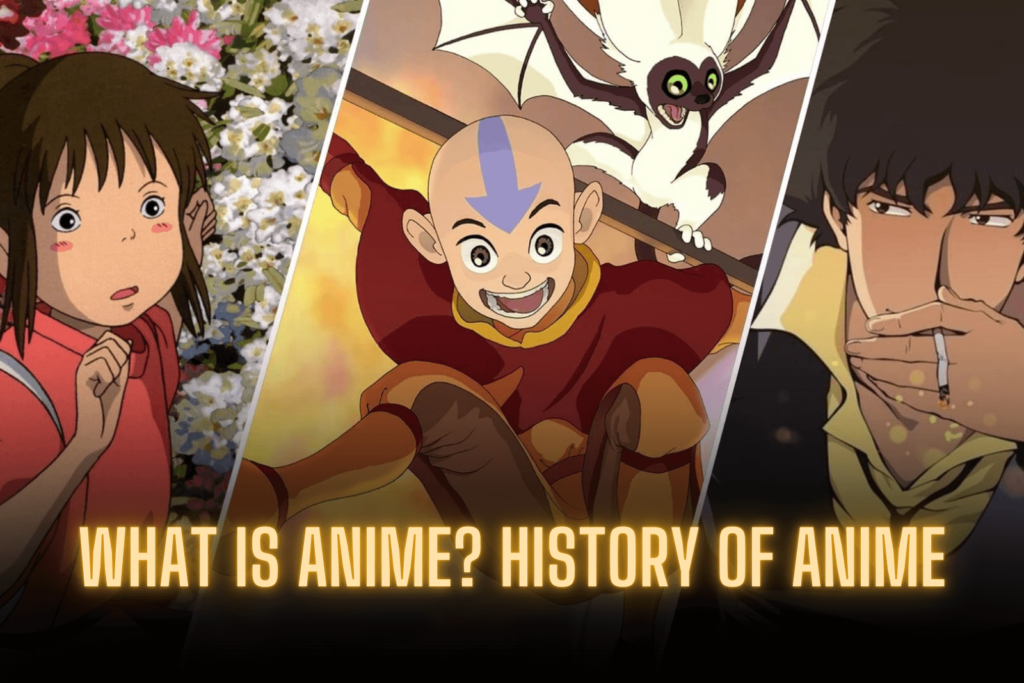 What is Anime