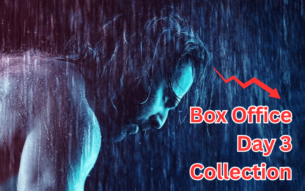 Baby John Box Office Day 3 Collection